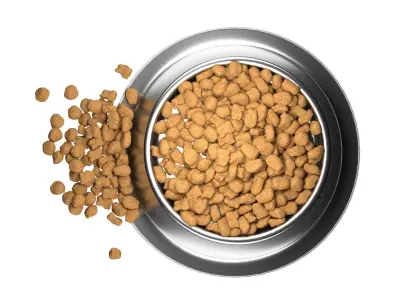 Dog food bowl 3  Low-poly 3D model