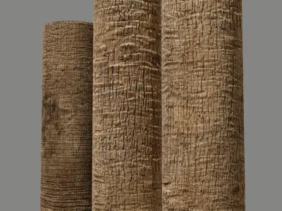  Washingtonia palm unbarked 3xPBR 8K 