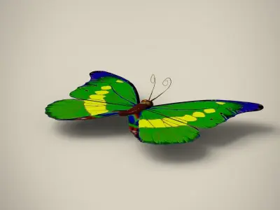 Butterfly Low-poly 3D model shop