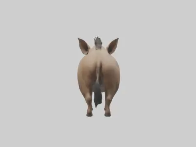 Standing Warthog Model Low-poly 3D model