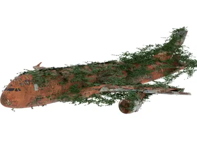 Damaged Rusted Airplane 3D model