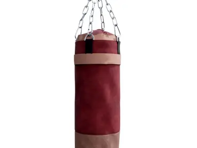 Boxing Bag 3D model get