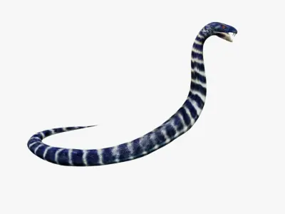 Snake Free 3D model 4