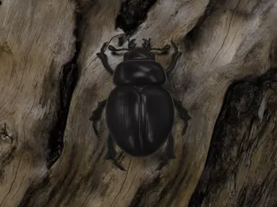 BUGS001 Scarab Low-poly 3D model