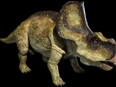 Protoceratops 3D (Rigged) 3D model