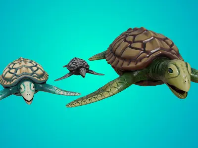 Loggerhead sea turtle Caretta caretta Family Low-poly 3D model