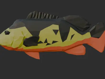 Low Poly Peacock Bass Low-poly 3D model