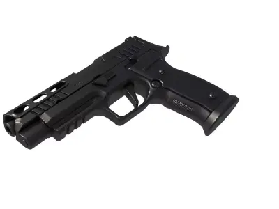 P320 AXG PRO 3D print model