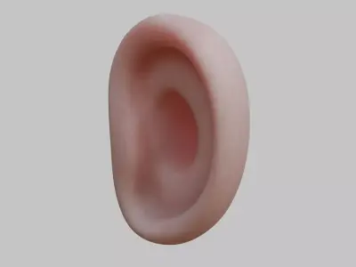 Stylized human ear Low-poly 3D model
