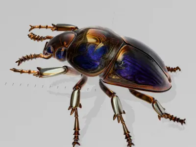 Cyber Art Beetle 3D model