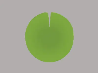 Lotus Leaf 3D model