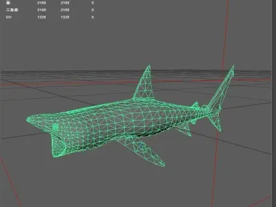 Shark Low-poly 3D model 39