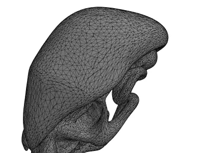 SciFi Biomechanical Alien Skull Low-poly 3D model
