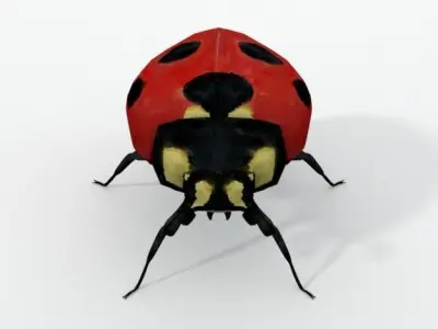 Ladybug Low-poly 3D model buy