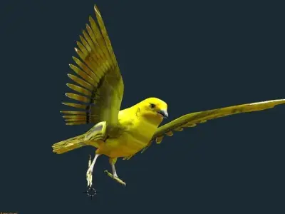 yellow bird animated Low-poly 3D model