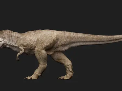 dinosaur Low-poly 3D model 21