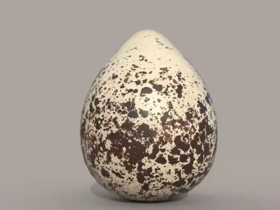 Killdeer Egg Low-poly 3D model