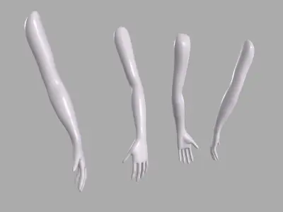 Female Arm Base sculpt mesh 3D model purchase