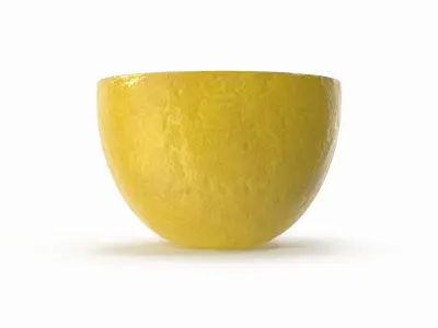  Lemon Slice(1)  purchase