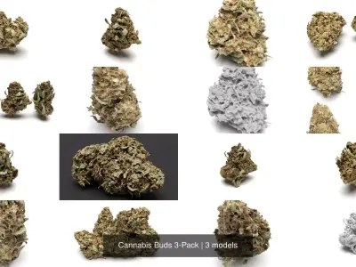 Cannabis Buds 3-Pack