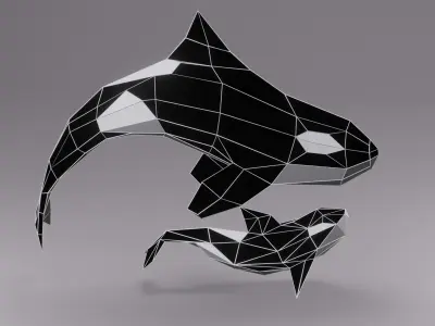 Orca Whale Low Poly Model  Low-poly 3D model