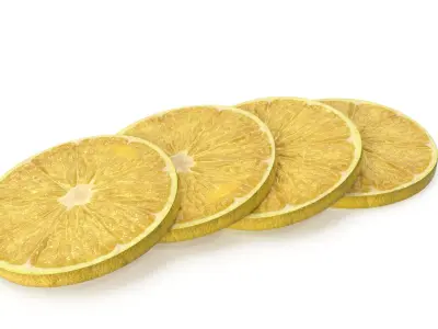  LemonSlices 