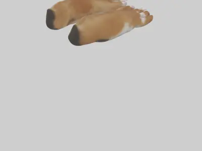 Dog Paws Low-poly 3D model