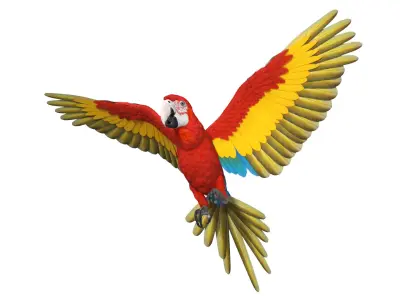 Red and Green Macaw Parrot Rigged 3D model