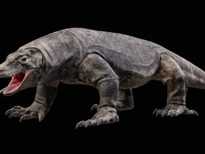Komodo Dragon 8K PBR 3D model
