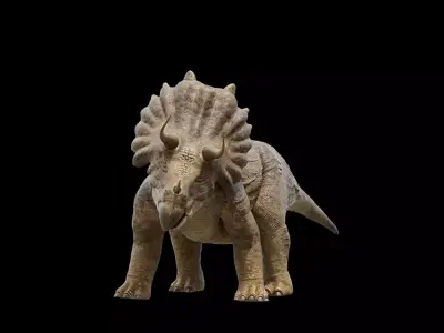 Triceratops Dinosaur Free low-poly 3D model