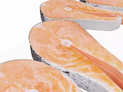 Salmon Fish 3D model get