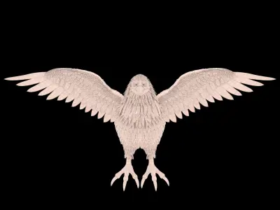 Eagle RIG 3D model