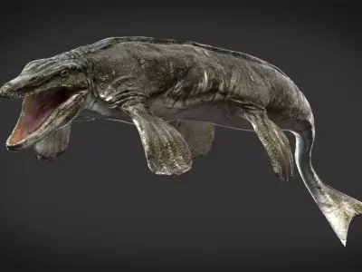 Tylosaurus 3D model Rigged Low-poly 3D model