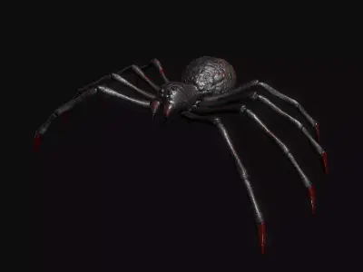 Spider Low-poly 3D model 6