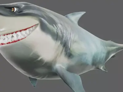 Shark 3D model 6