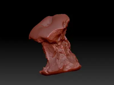 3D printing of apple core can be used for commercial use 3D print model