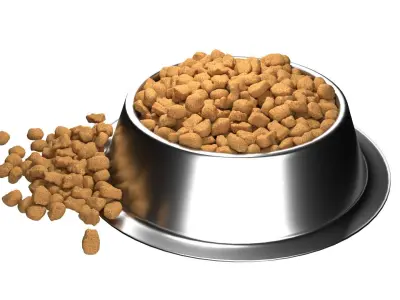 Dog food bowl 3  Low-poly 3D model