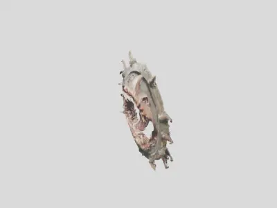 Demonic shield with skulls and spikes Low-poly 3D model