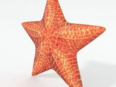 Starfish Low-poly 3D model shop