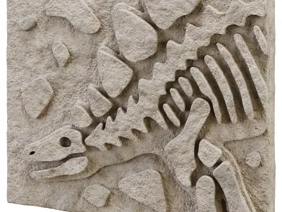 DIY Fossil Art Collection 3D model