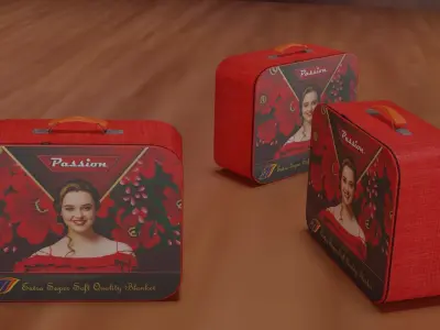 Blanket Bag Free 3D model