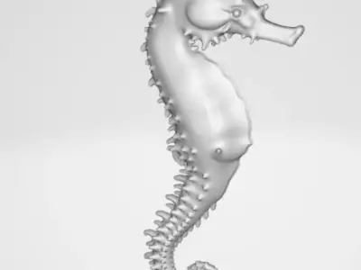Seahorse 3D model purchase