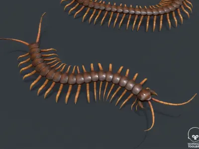 Pbr Centipede ball with Low-poly 3D model