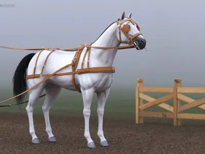 White Horse Single Driving Harness 3D model