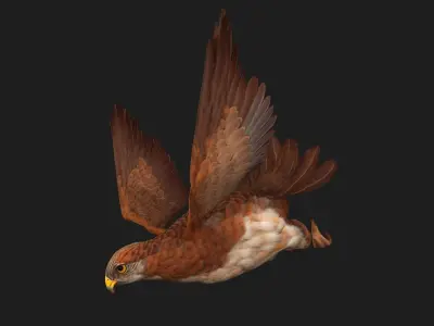 Kestrel B1 3D model