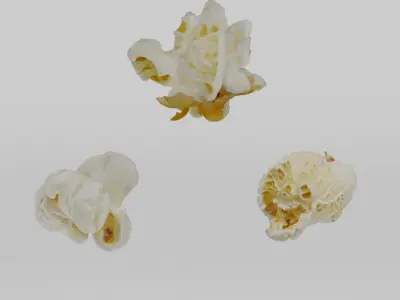 Popcorns - Var01 3D model