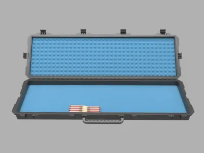 Gun Case 3D model