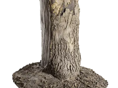  Medium Cut Conifer Stump Model 