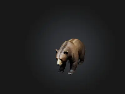 Realistic Bear Low-poly 3D model