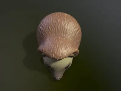 Hedgehog Low-poly 3D model